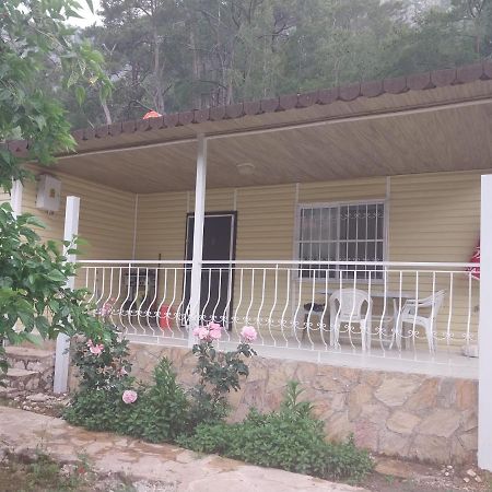 Village Garden Pansiyon Antalya Exteriör bild