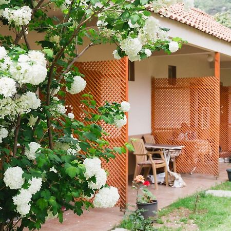 Village Garden Pansiyon Antalya Exteriör bild