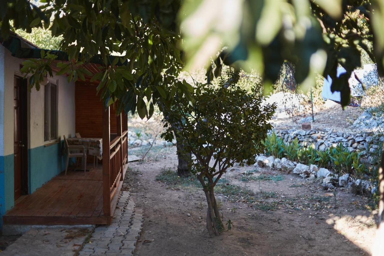 Village Garden Pansiyon Antalya Exteriör bild