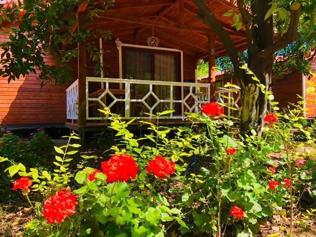 Village Garden Pansiyon Antalya Exteriör bild