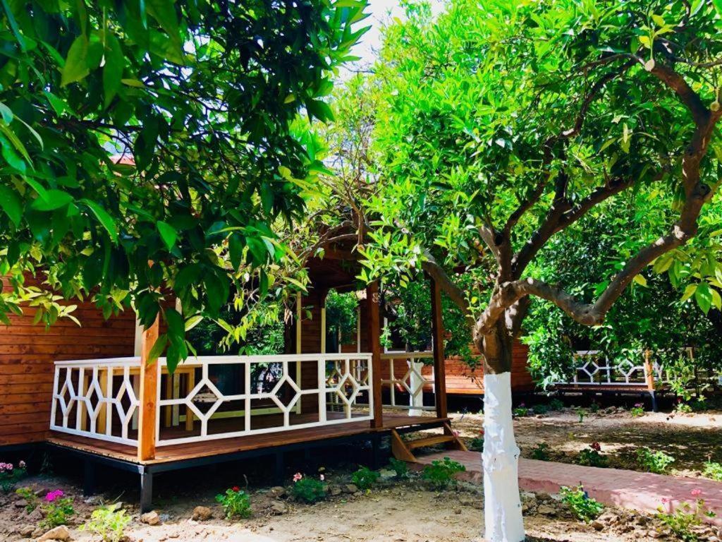 Village Garden Pansiyon Antalya Exteriör bild