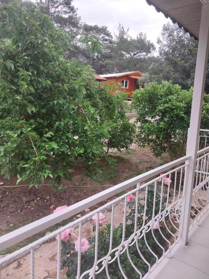 Village Garden Pansiyon Antalya Exteriör bild