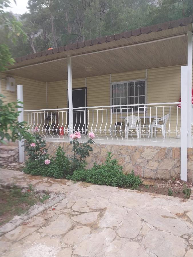 Village Garden Pansiyon Antalya Exteriör bild