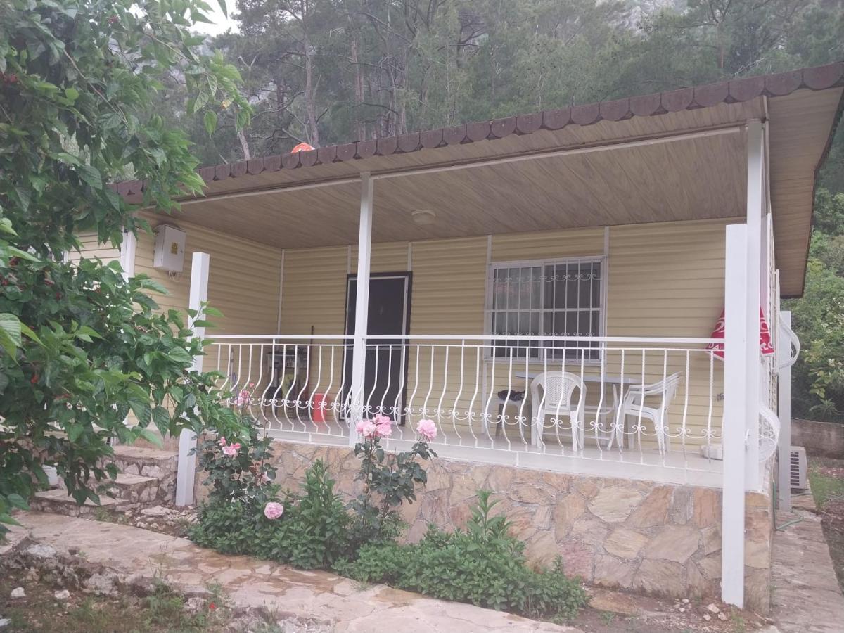 Village Garden Pansiyon Antalya Exteriör bild