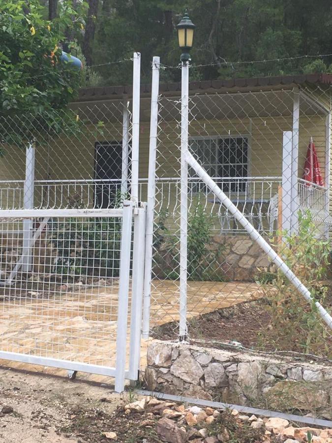 Village Garden Pansiyon Antalya Exteriör bild